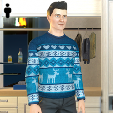 Winter Sweater - Male